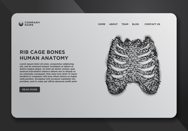 胸肋骨胸骨鎖骨肩甲骨脊柱のwebページデザインテンプレートコレクション詳細な医療イラスト