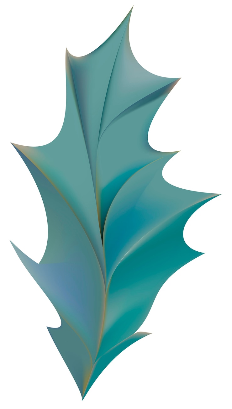 Free Vector web
