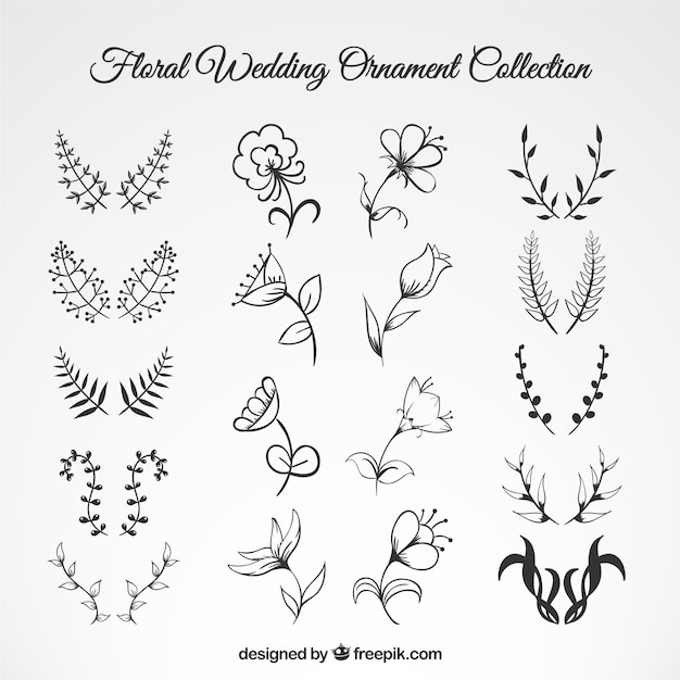 Vettore gratuito wedding floral ornament collection
