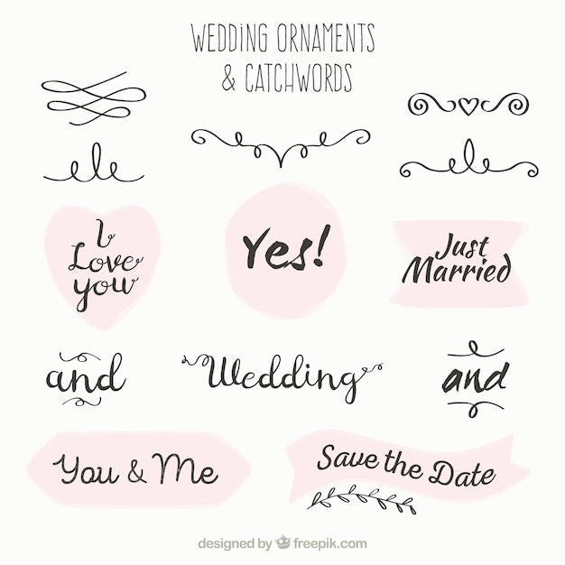 Free vector wedding ornament and catchword collection