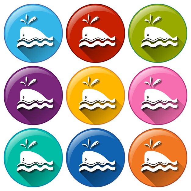 Whale icons