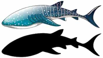 Free vector whale shark characters and its silhouette on white