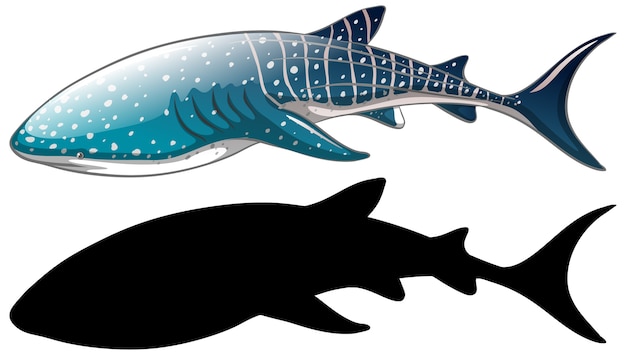 Whale shark characters and its silhouette on white 