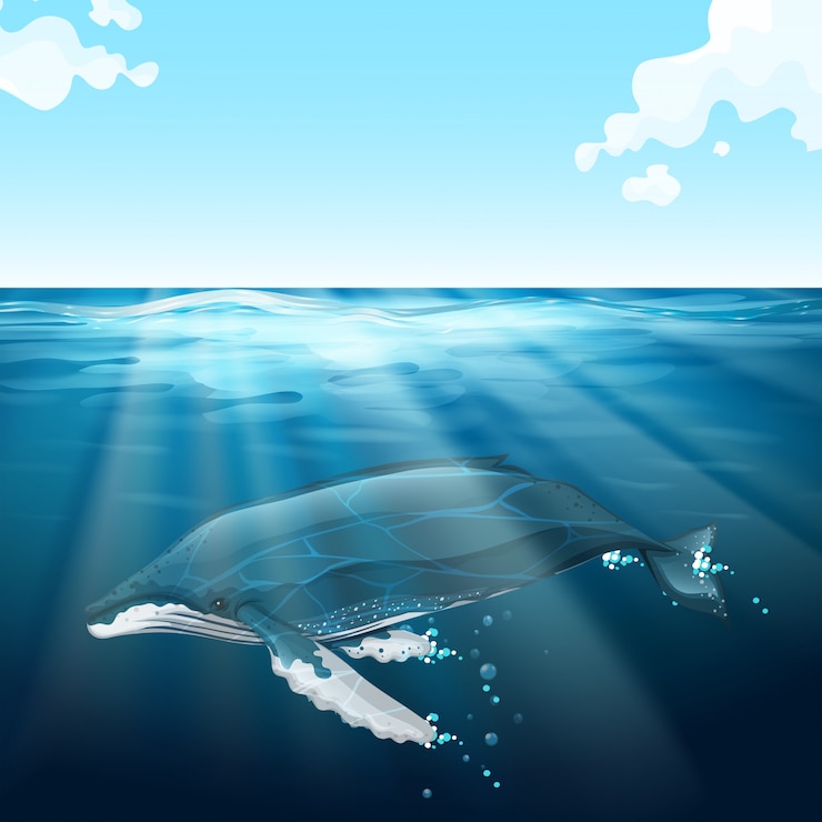 無料Vector 青い海の下で泳ぐクジラ