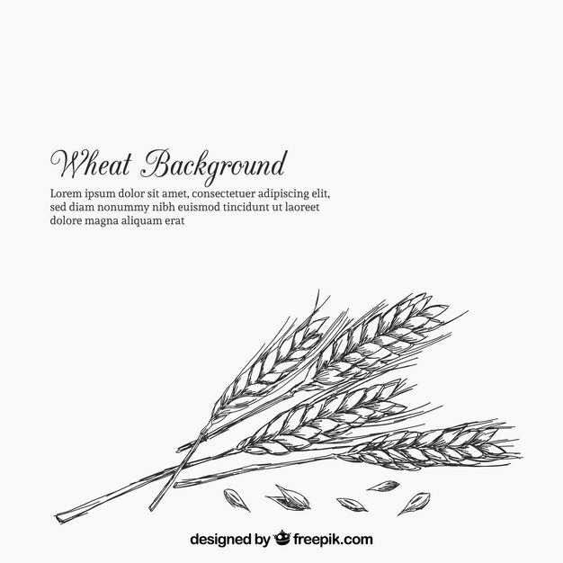 小麦 画像 無料のベクター ストックフォト Psd