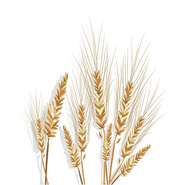 小麦の枝のデザイン