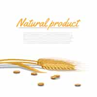 Free vector wheat ear illustration