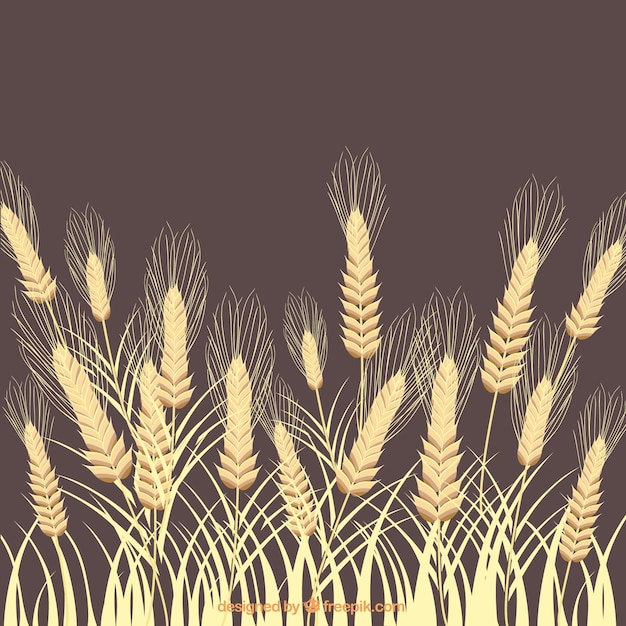 Free vector wheat ears background