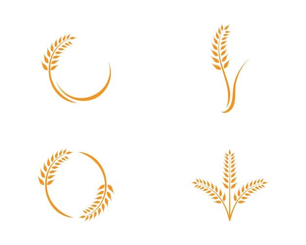 Шаблон логотипа пшеницы Premium векторы