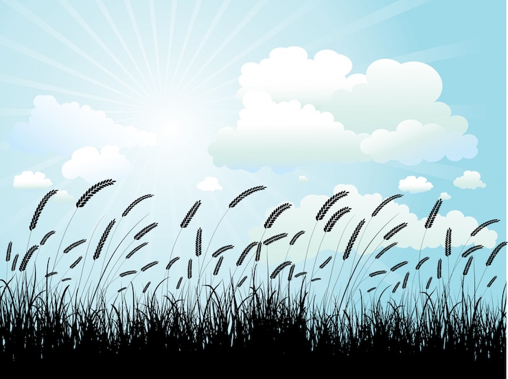 Free Vector wheat silhouette