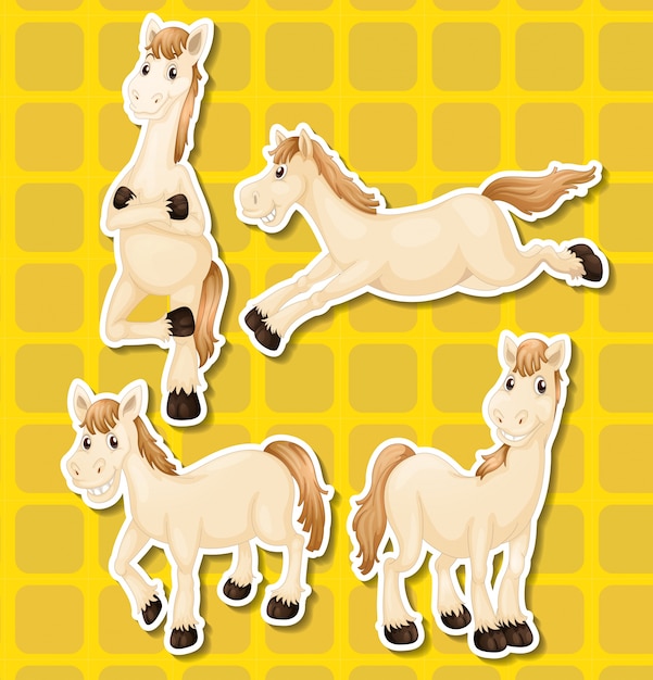 Free Vector whie horse in four different positions
