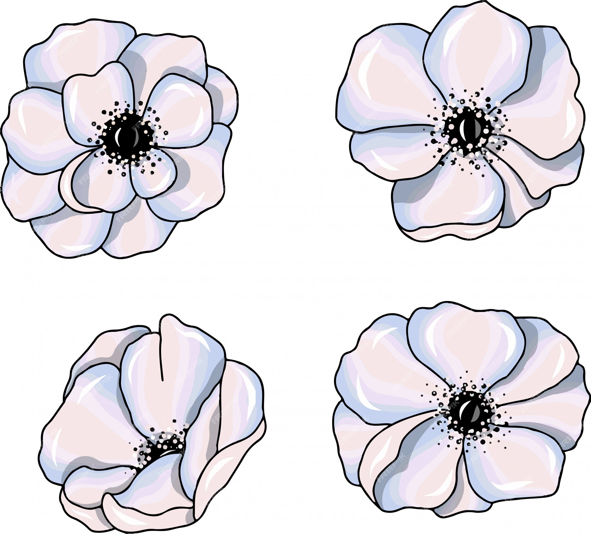 白いアネモネの花のイラスト プレミアムベクター