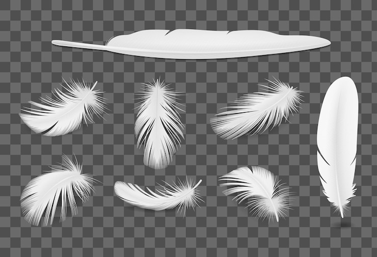 Free Vector white bird feathers transparent realistic set isolated