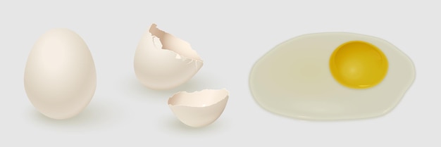 Белая куриная яичная скорлупа и желток изолированы на сером фоне