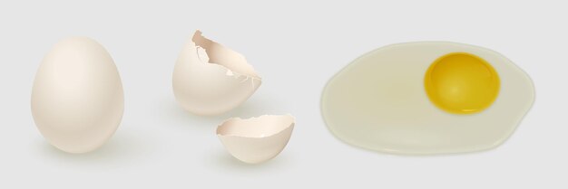 White chicken egg eggshell and yolk isolated on gray background