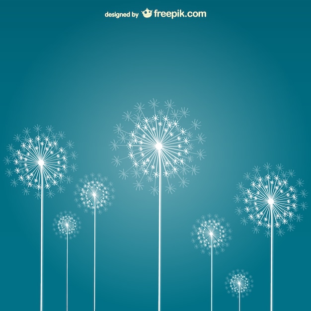 White dandelions vector