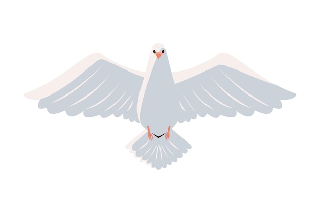 White dove isolated icon design – Free vector download
