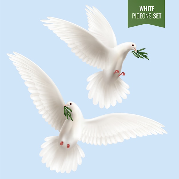 Free vector white dove set with olive branch