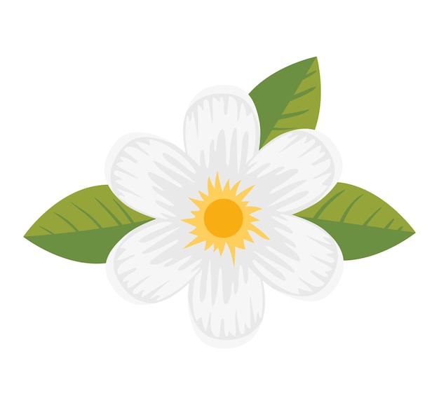 Icona della natura di fiori esotici bianchi