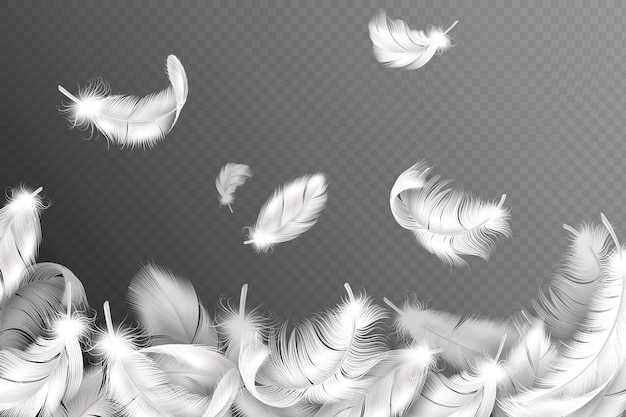 Download Premium Vector | Flying feathers. falling twirled fluffy ...