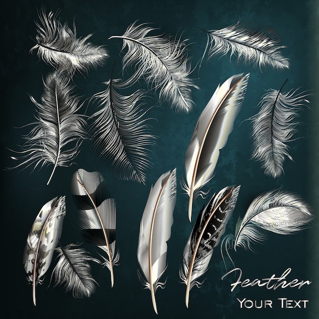 Free vector white feathers collection