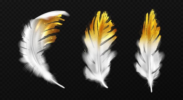 Black Feather Images - Free Download on Freepik