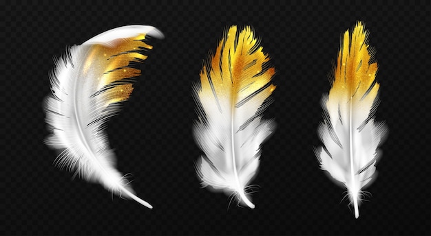 White feathers with gold glitter on edges, birds plumage or hackles with golden sparks, boho style trendy design elements isolated on black background, Realistic 3d illustration, icons set