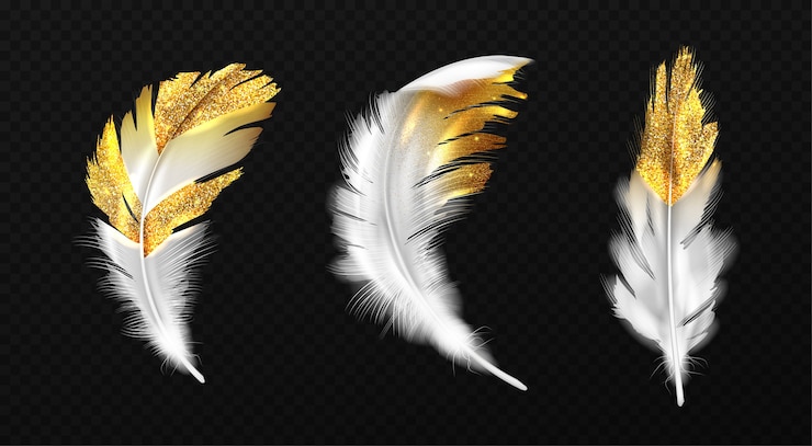 Free Vector white feathers with gold glitter on edges