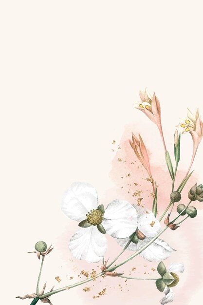 White flower on a beige background