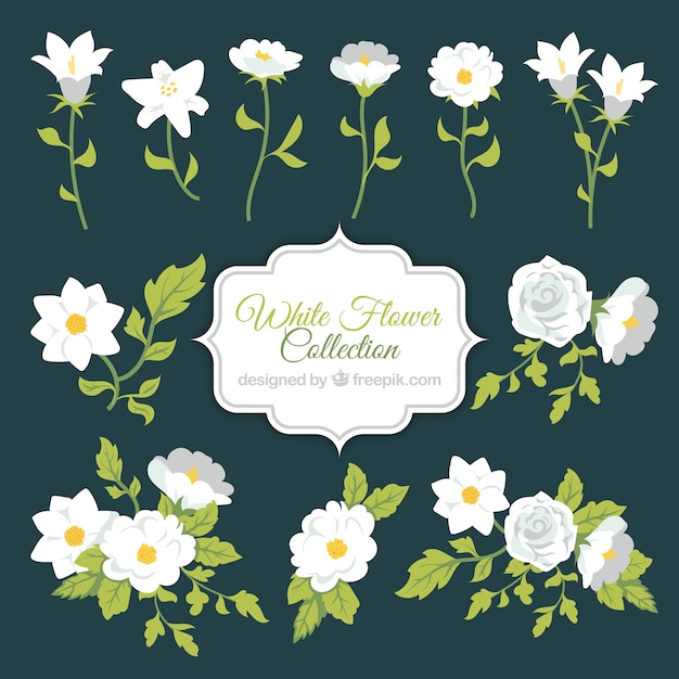 Free vector white flower collection