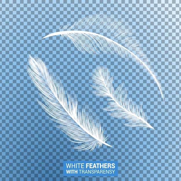 Free vector white fluffy feathers realistic transparent effect