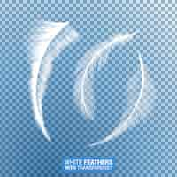 Free vector white fluffy feathers realistic transparent effect