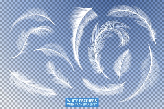白いふわふわの羽がリアルな透明効果を設定