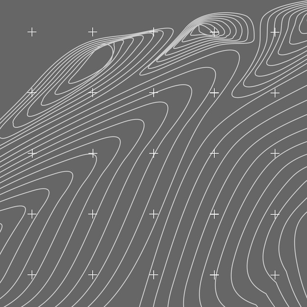 Free vector white and gray abstract contour line map