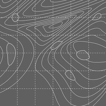 White and gray abstract contour line map
