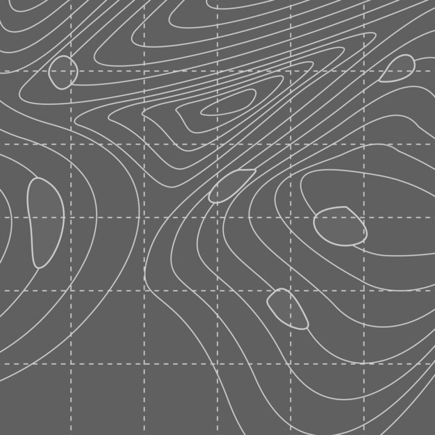 Белый и серый абстрактный контурная карта