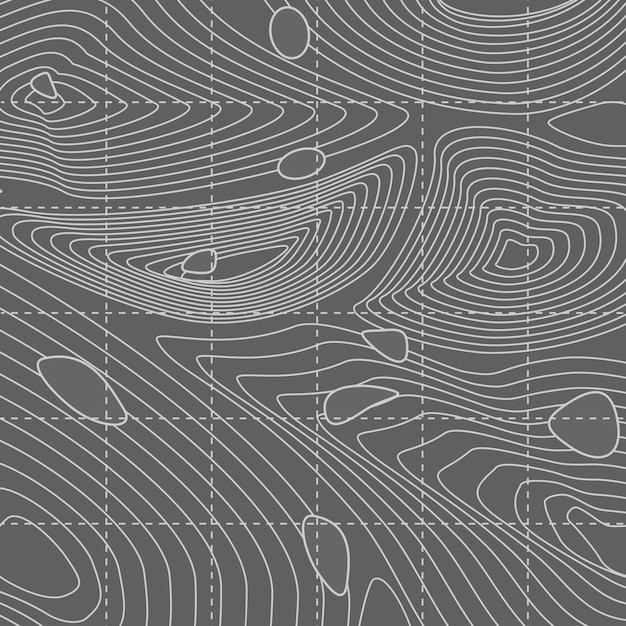 White and gray abstract contour line map