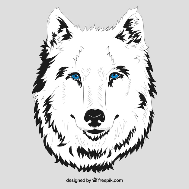 Vettore gratuito testa bianca di lupo con gli occhi azzurri