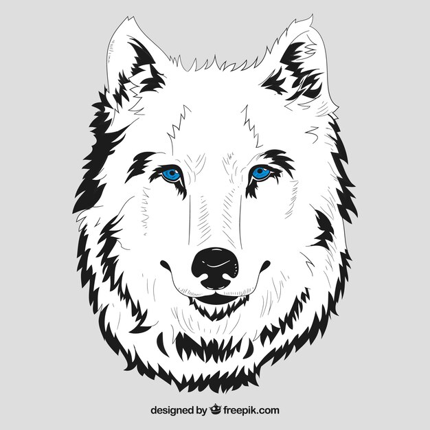 White head of wolf with blue eyes
