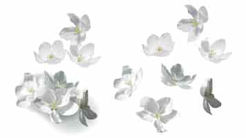 無料ベクター 白いジャスミンの花が飛んで、落ちて、ヒープ内
