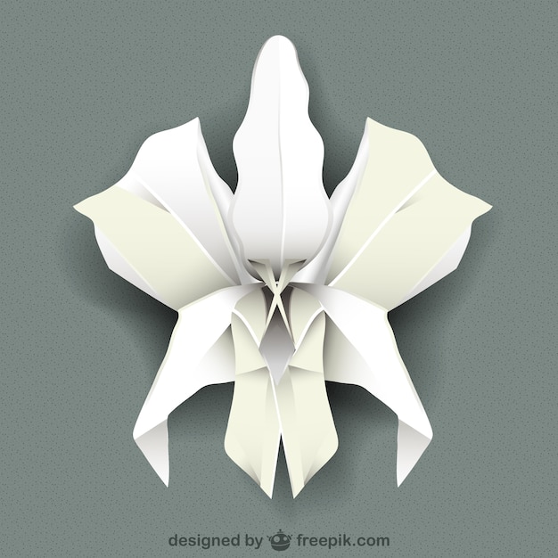 Free vector white orchid vector