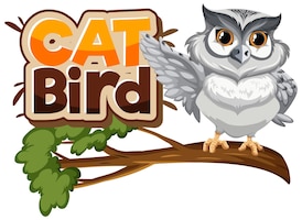 White owl on branch cartoon character with cat bird font banner isolated