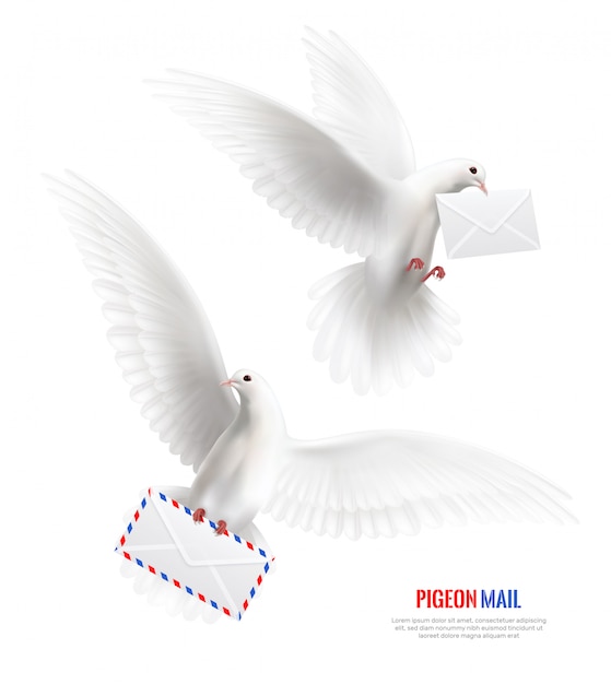 Free vector white pigeons set with envelopes