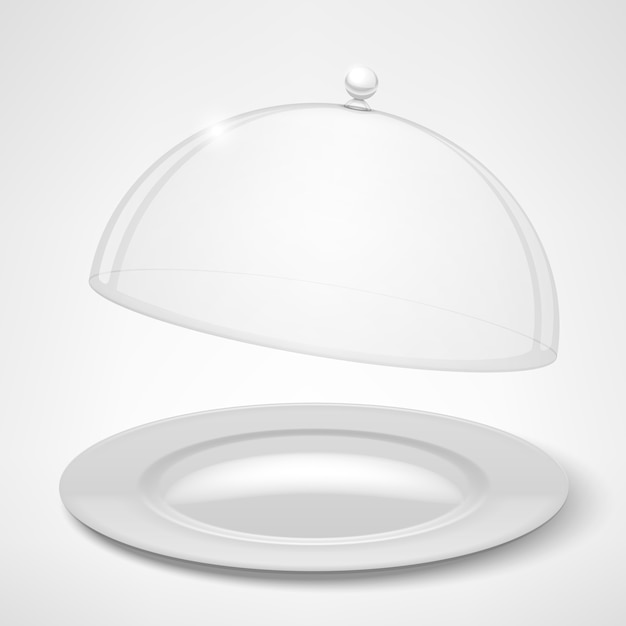 Vettore gratuito piatto bianco e coperchio trasparente