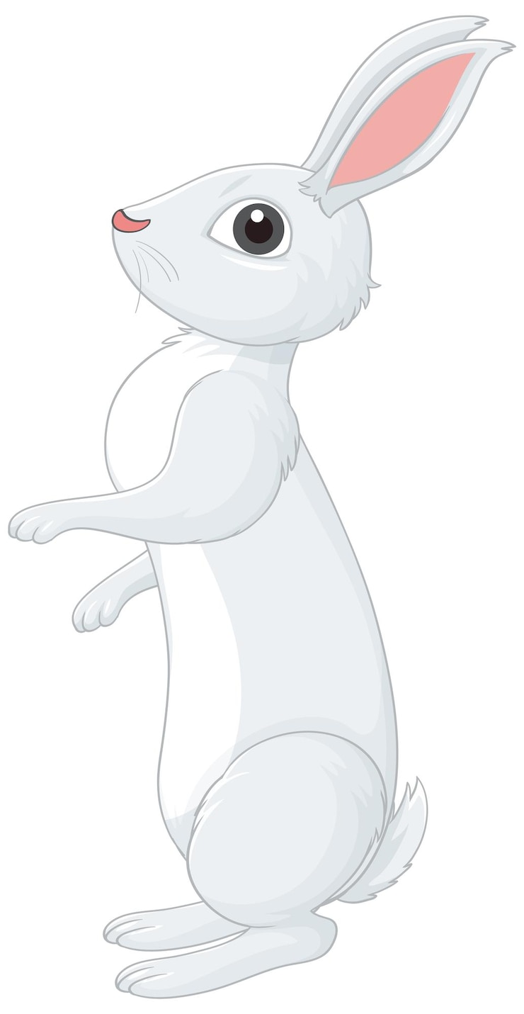 Free Vector white rabbit cartoon character