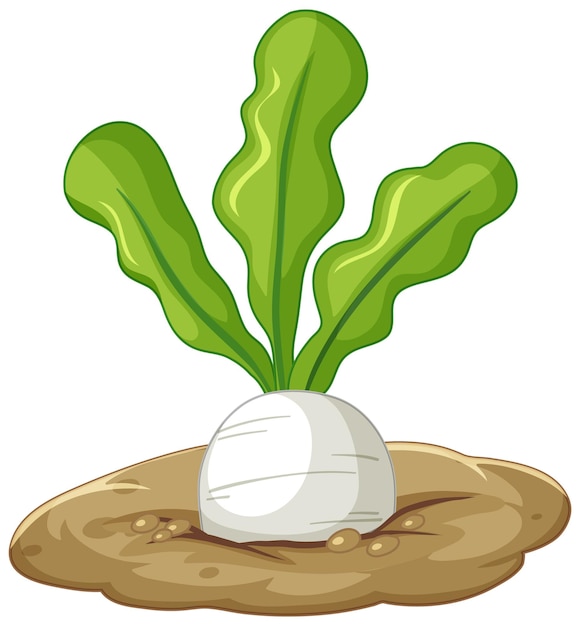 White radish root in soil cartoon style isolated