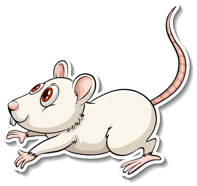 흰 쥐 동물 만화 스티커