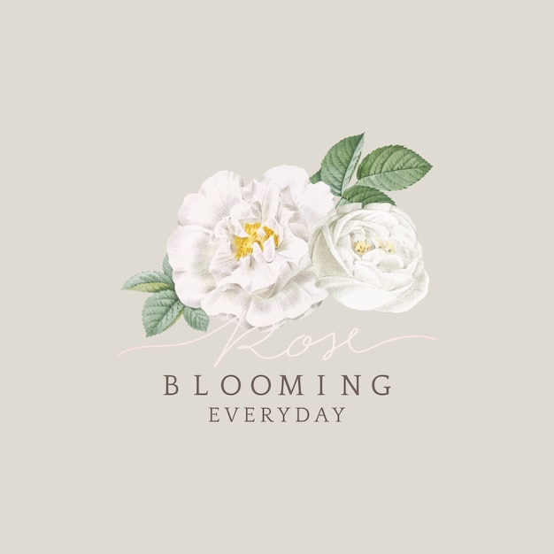 Free vector white rose blooming card design