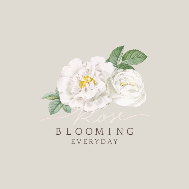 White rose blooming card design