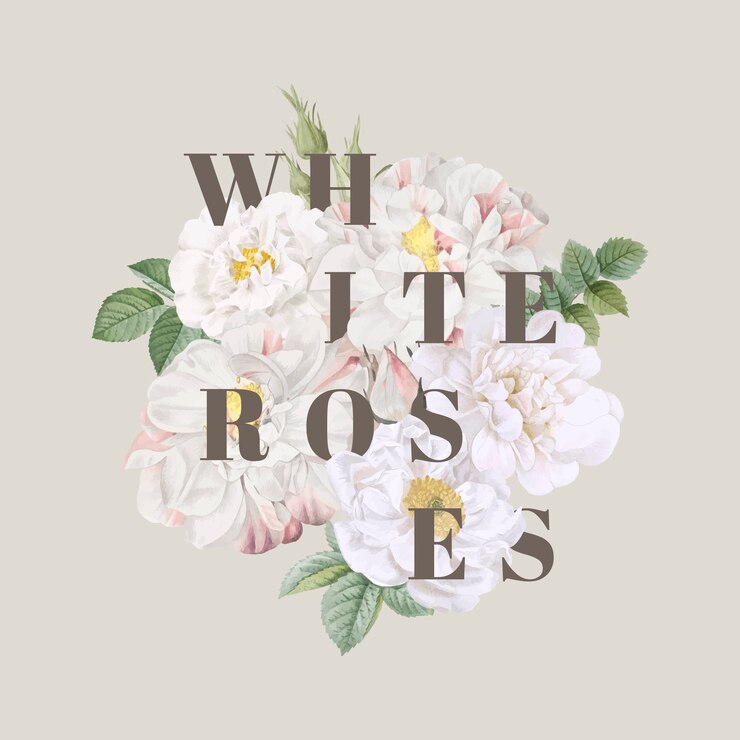 Free Vector white roses background design